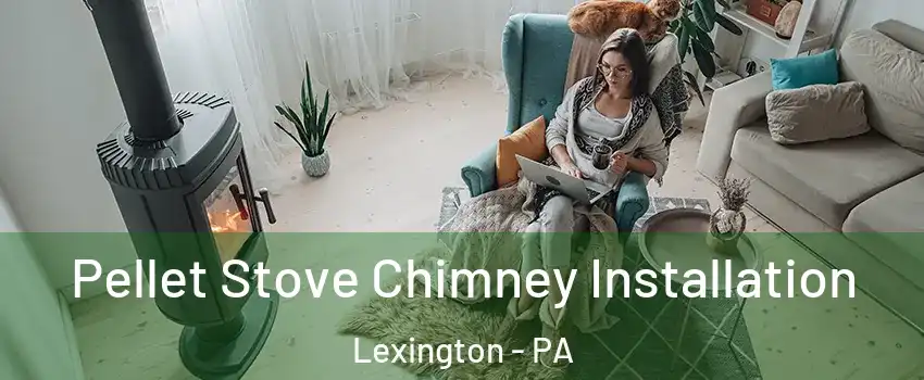 Pellet Stove Chimney Installation Lexington - PA