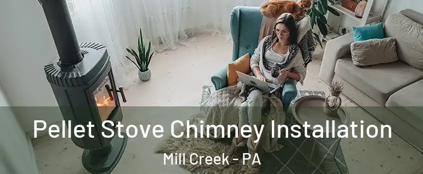 Pellet Stove Chimney Installation Mill Creek - PA