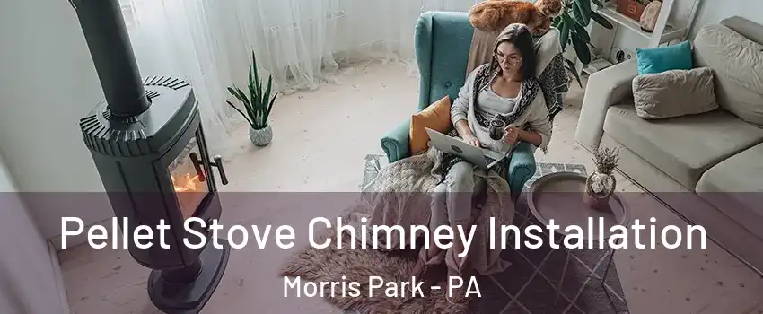 Pellet Stove Chimney Installation Morris Park - PA