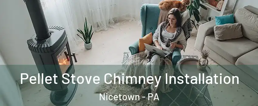 Pellet Stove Chimney Installation Nicetown - PA