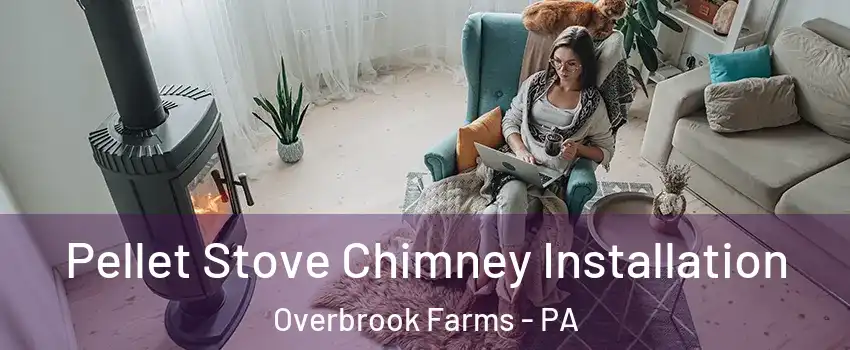 Pellet Stove Chimney Installation Overbrook Farms - PA