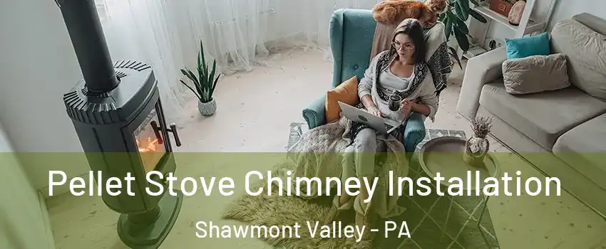 Pellet Stove Chimney Installation Shawmont Valley - PA
