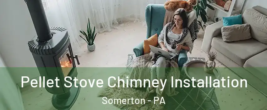 Pellet Stove Chimney Installation Somerton - PA