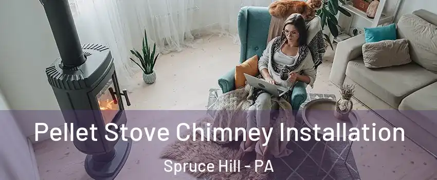Pellet Stove Chimney Installation Spruce Hill - PA