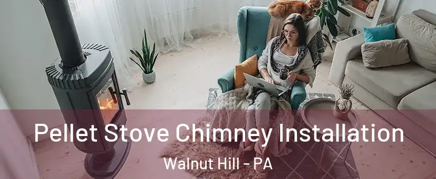 Pellet Stove Chimney Installation Walnut Hill - PA