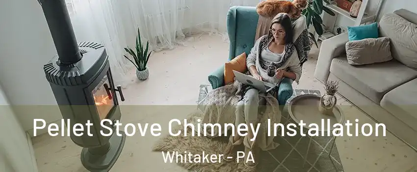 Pellet Stove Chimney Installation Whitaker - PA