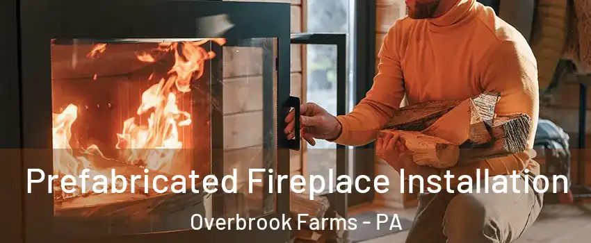 Prefabricated Fireplace Installation Overbrook Farms - PA
