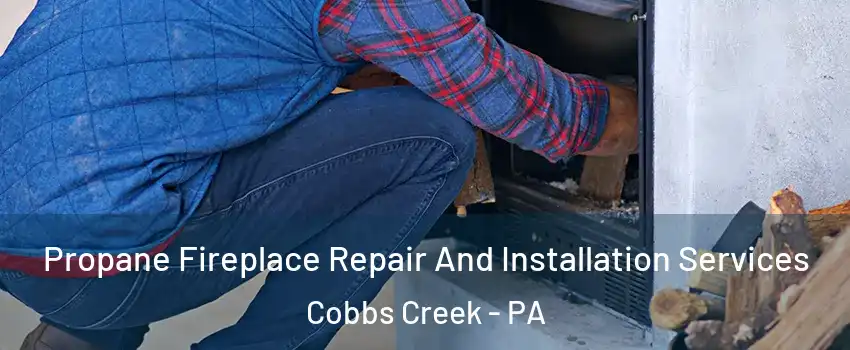 Propane Fireplace Repair And Installation Services Cobbs Creek - PA