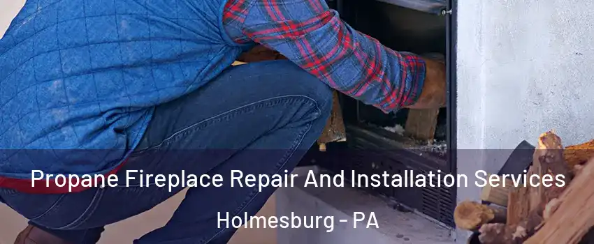 Propane Fireplace Repair And Installation Services Holmesburg - PA