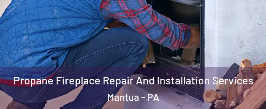 Propane Fireplace Repair And Installation Services Mantua - PA
