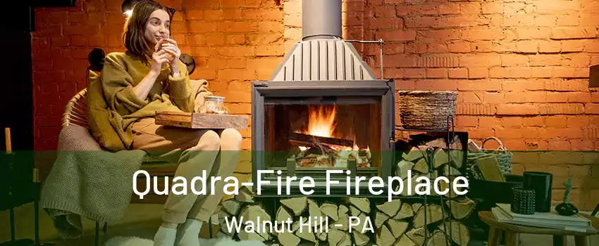 Quadra-Fire Fireplace Walnut Hill - PA