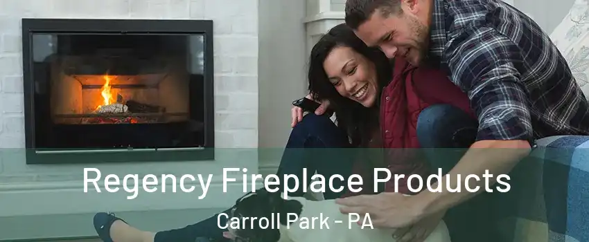 Regency Fireplace Products Carroll Park - PA