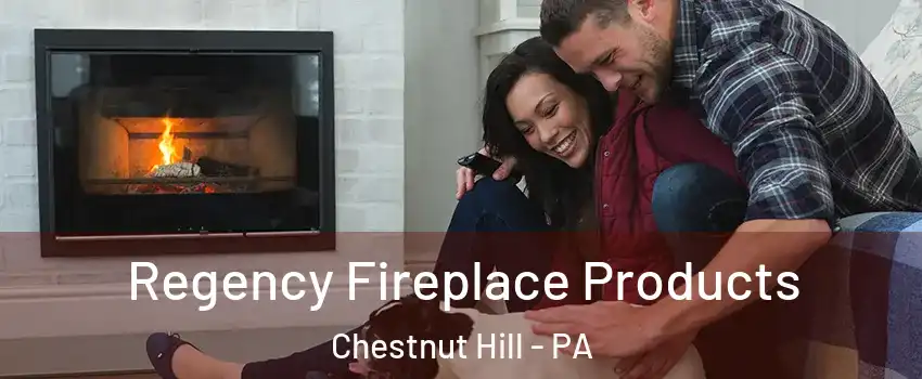 Regency Fireplace Products Chestnut Hill - PA