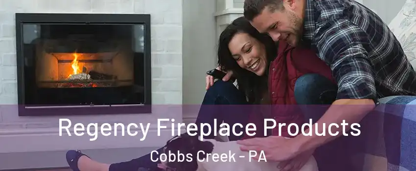 Regency Fireplace Products Cobbs Creek - PA