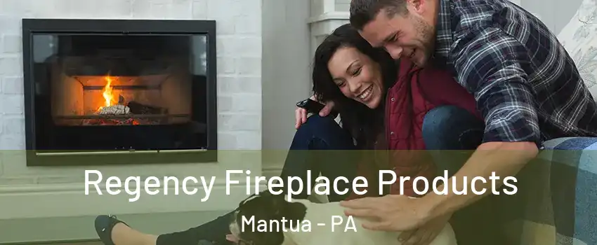 Regency Fireplace Products Mantua - PA