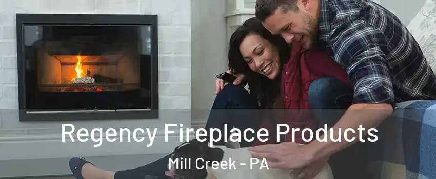 Regency Fireplace Products Mill Creek - PA