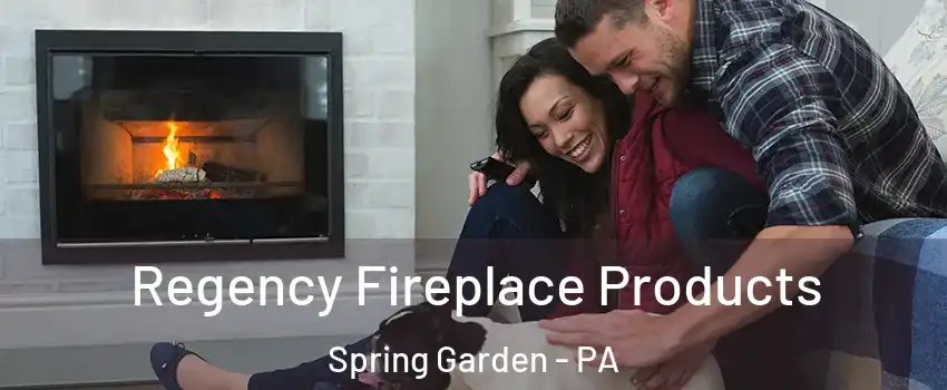 Regency Fireplace Products Spring Garden - PA