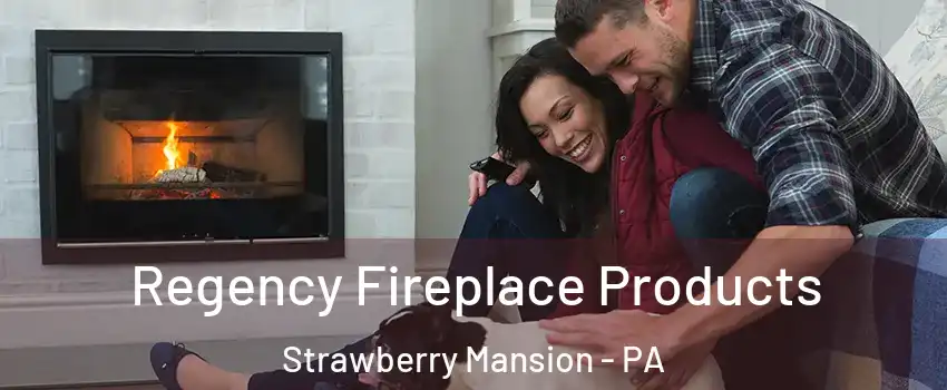 Regency Fireplace Products Strawberry Mansion - PA