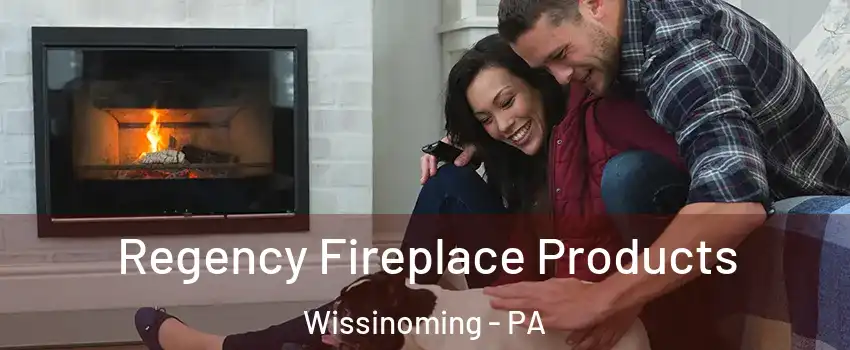 Regency Fireplace Products Wissinoming - PA
