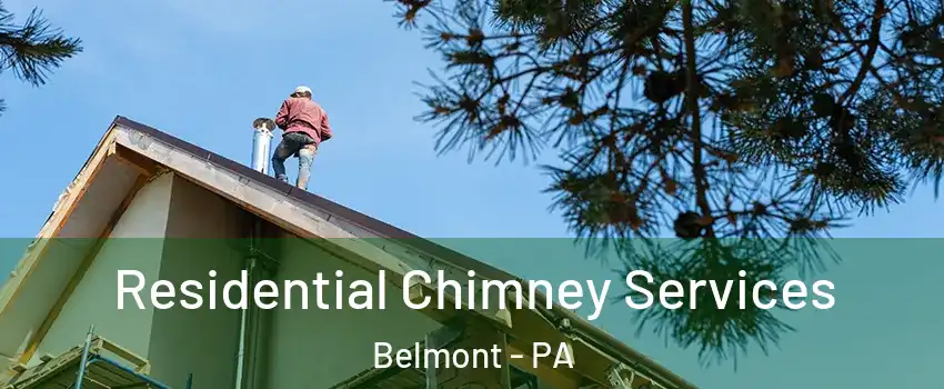 Residential Chimney Services Belmont - PA
