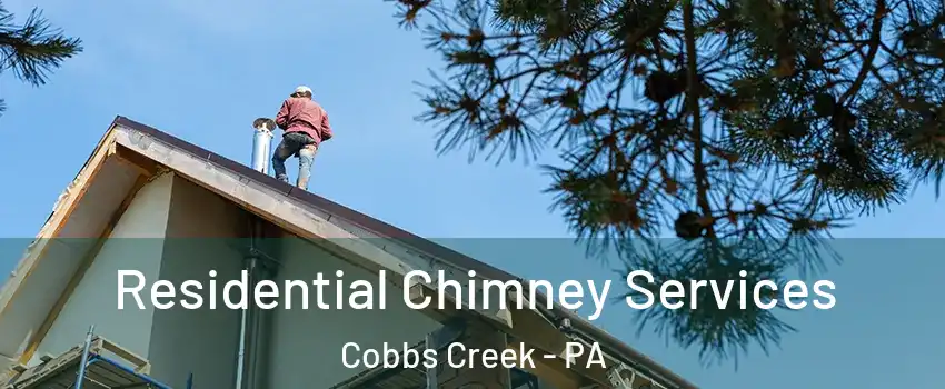 Residential Chimney Services Cobbs Creek - PA
