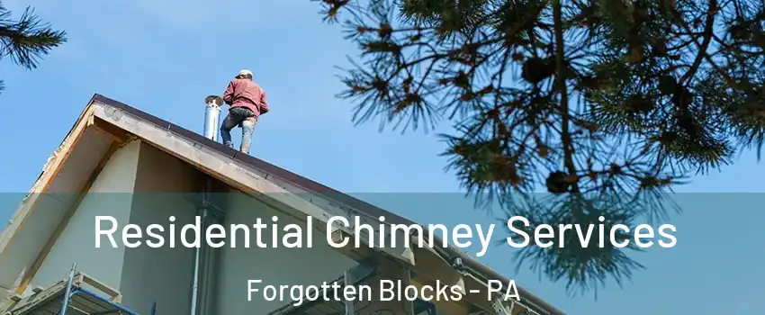 Residential Chimney Services Forgotten Blocks - PA