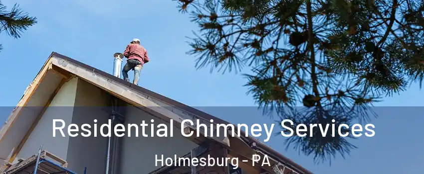 Residential Chimney Services Holmesburg - PA
