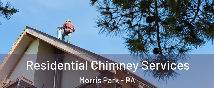 Residential Chimney Services Morris Park - PA