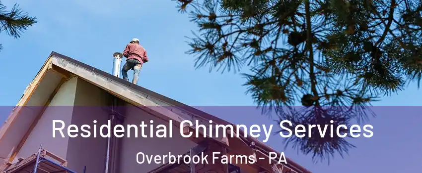 Residential Chimney Services Overbrook Farms - PA