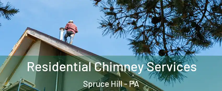 Residential Chimney Services Spruce Hill - PA