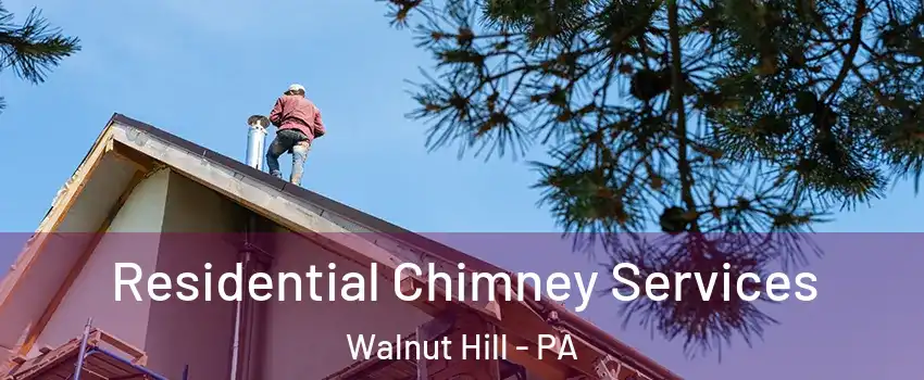 Residential Chimney Services Walnut Hill - PA