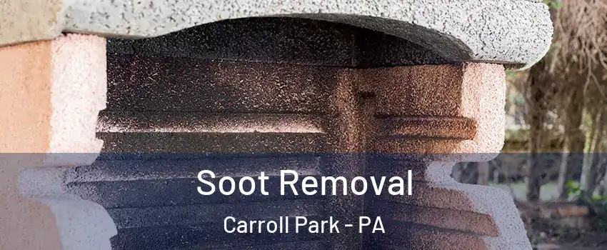 Soot Removal Carroll Park - PA