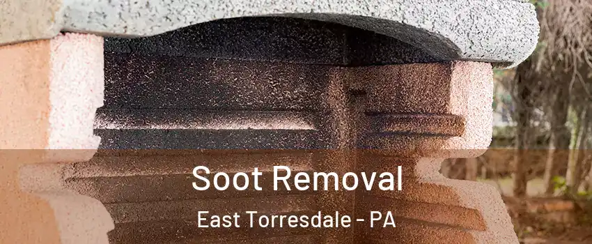 Soot Removal East Torresdale - PA