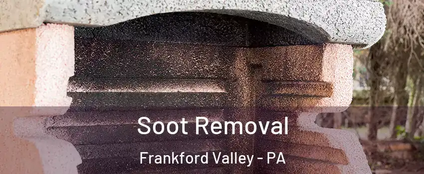 Soot Removal Frankford Valley - PA