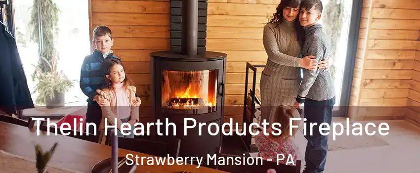 Thelin Hearth Products Fireplace Strawberry Mansion - PA