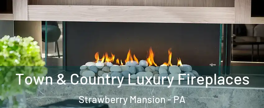 Town & Country Luxury Fireplaces Strawberry Mansion - PA