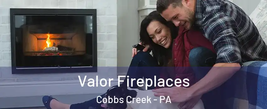 Valor Fireplaces Cobbs Creek - PA