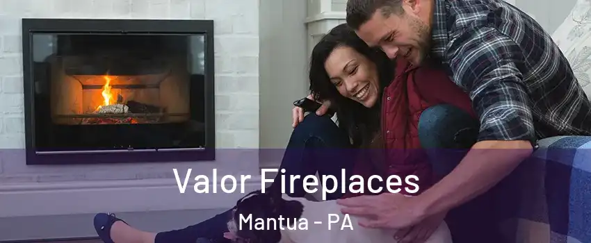 Valor Fireplaces Mantua - PA