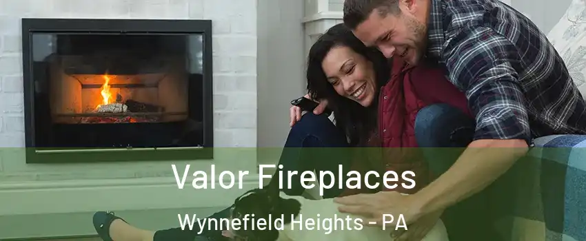 Valor Fireplaces Wynnefield Heights - PA