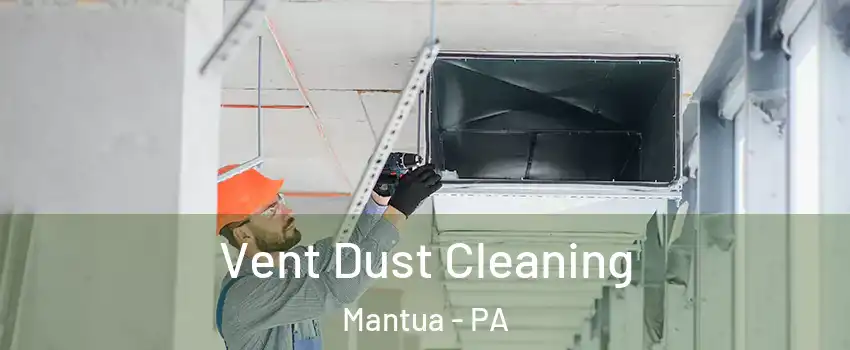 Vent Dust Cleaning Mantua - PA