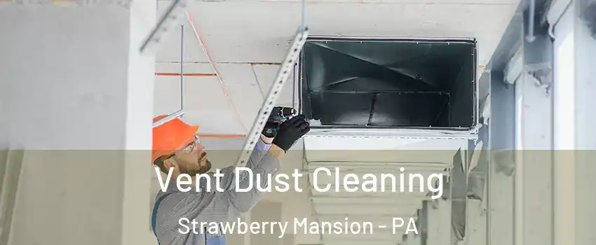 Vent Dust Cleaning Strawberry Mansion - PA