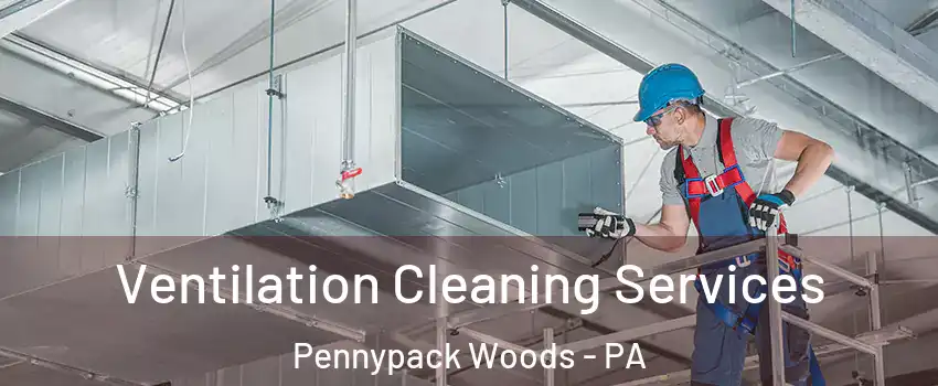 Ventilation Cleaning Services Pennypack Woods - PA