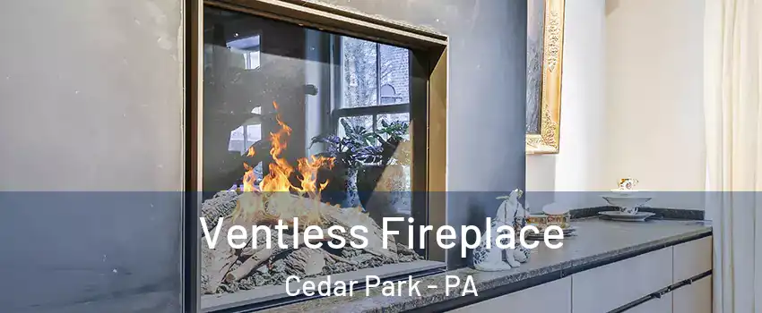 Ventless Fireplace Cedar Park - PA