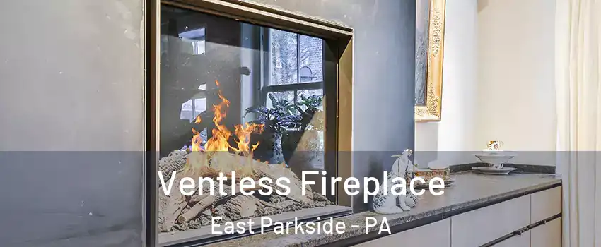 Ventless Fireplace East Parkside - PA
