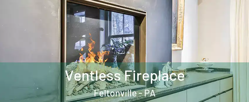 Ventless Fireplace Feltonville - PA