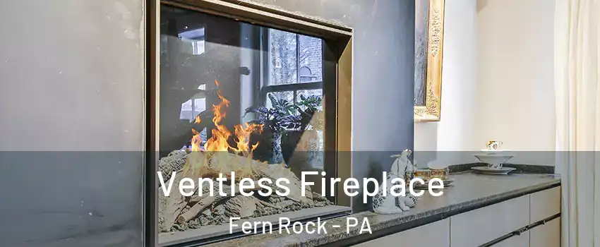 Ventless Fireplace Fern Rock - PA