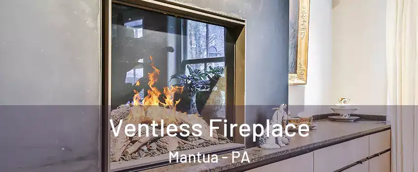 Ventless Fireplace Mantua - PA