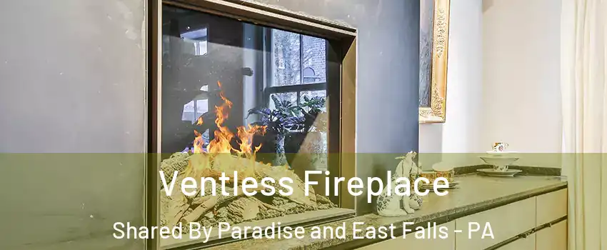 Ventless Fireplace Shared By Paradise and East Falls - PA