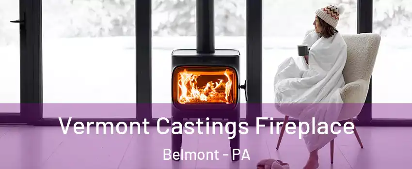 Vermont Castings Fireplace Belmont - PA