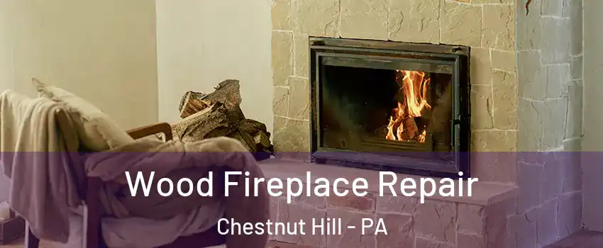 Wood Fireplace Repair Chestnut Hill - PA